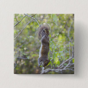 Hang On! Flair Button