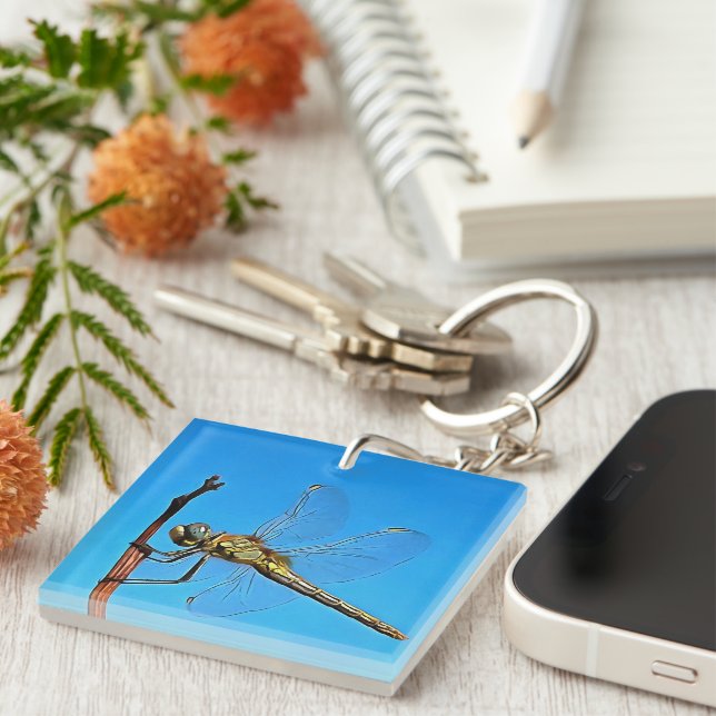 Hang On In There Artistic Dragonfly Key Ring (Front Right)