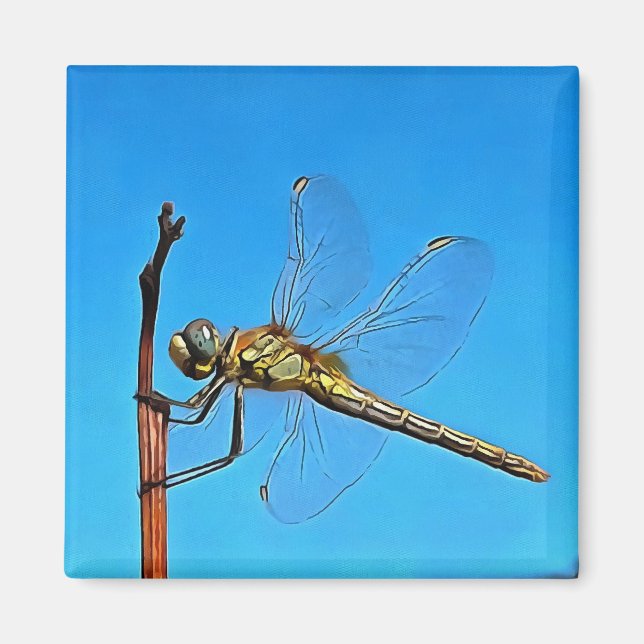 Hang On In There Artistic Dragonfly Magnet (Front)