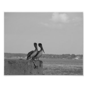 Hang'in Out Photo Print