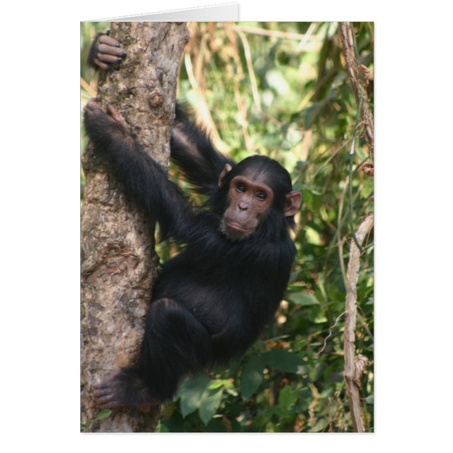 Hanging Around (Front)