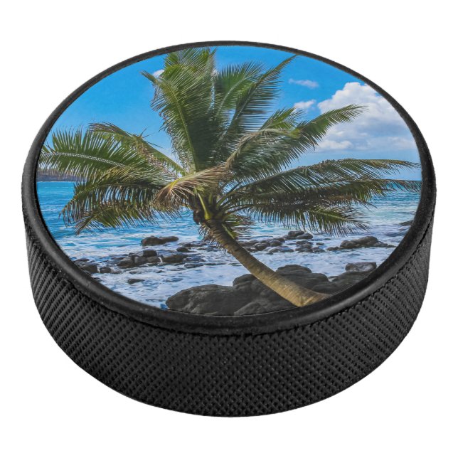 Hanging around... hockey puck (3/4)