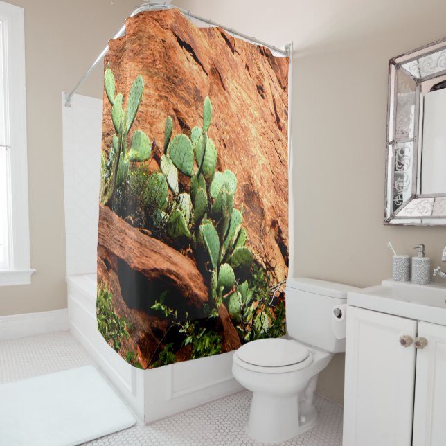 Hanging Cactus Garden on Red Rocks Shower Curtain (In Situ)