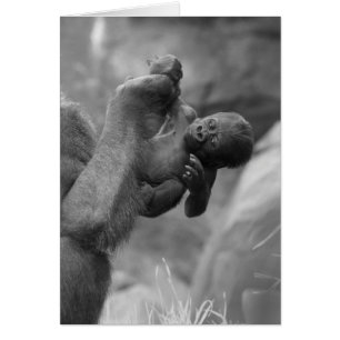 Hanging Gorilla Baby