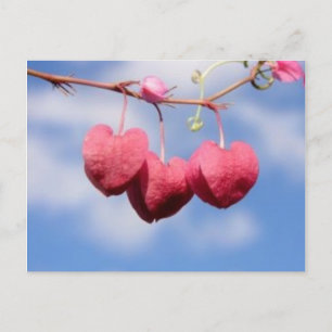 Hanging_hearts flower  postcard