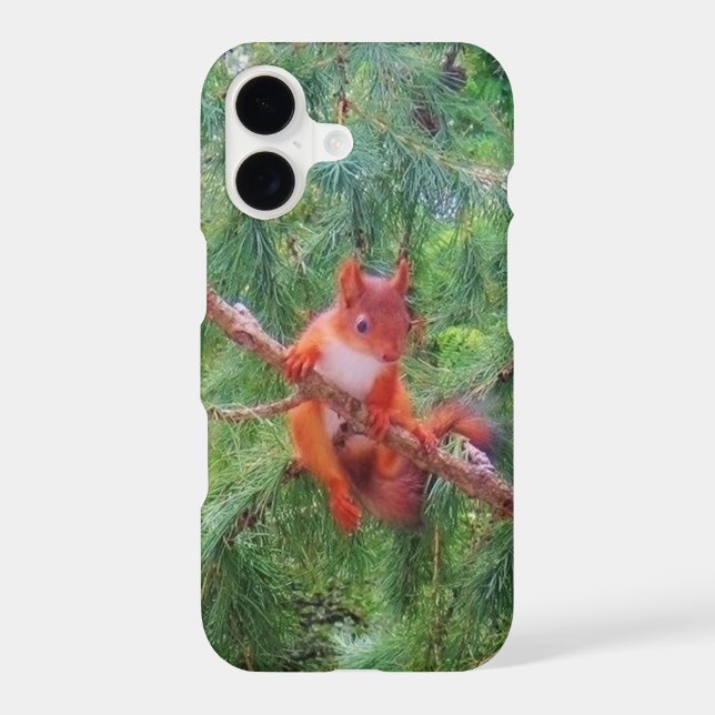 Hanging in There (Back)