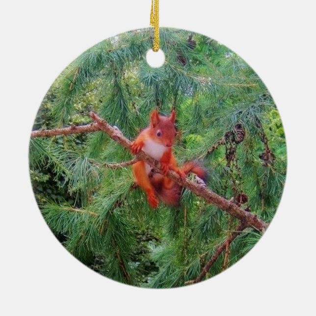 Hanging in There Ceramic Tree Decoration (Back)