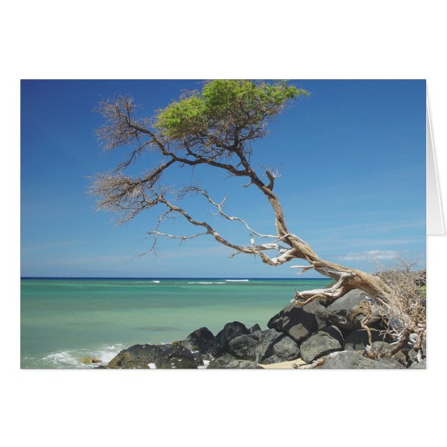 Hanging On (Front Horizontal)