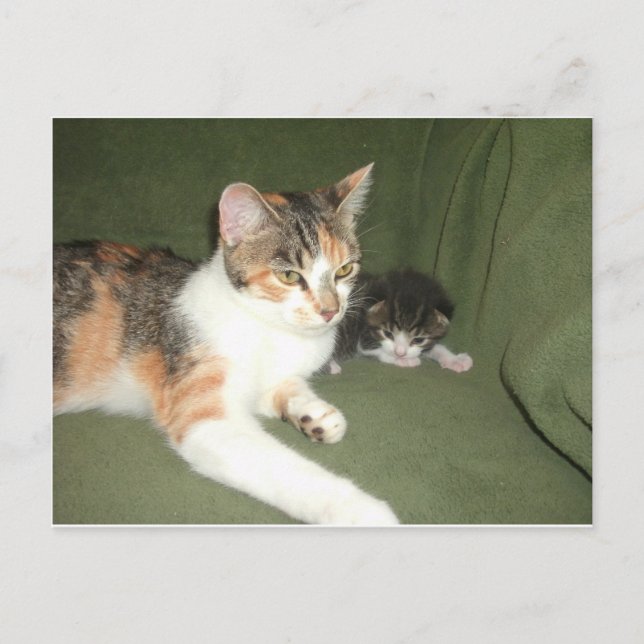 Hanging Out Postcard (Front)