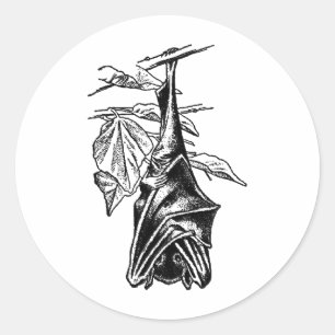 Hanging Sleeping Bat - Black Version Classic Round Sticker