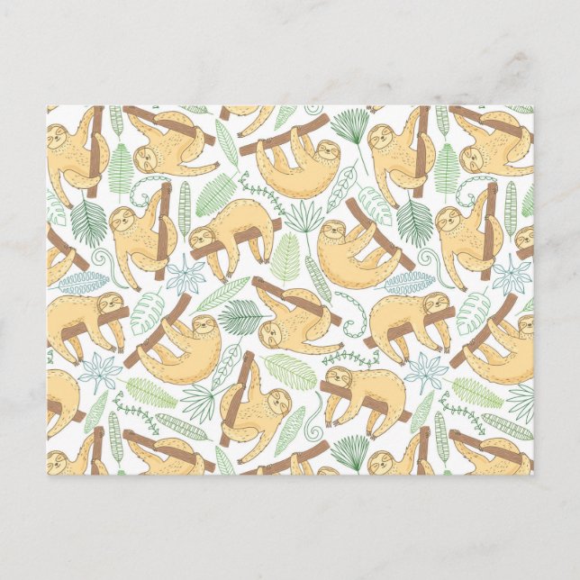 Hanging Sloths Postcard (Front)