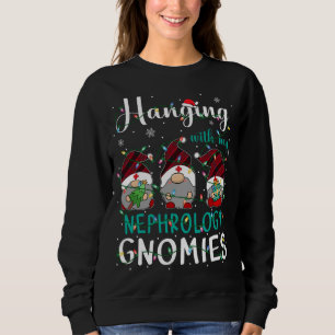 Hanging with my Gnomies, Gnomes, cartoon character Sweatshirt
