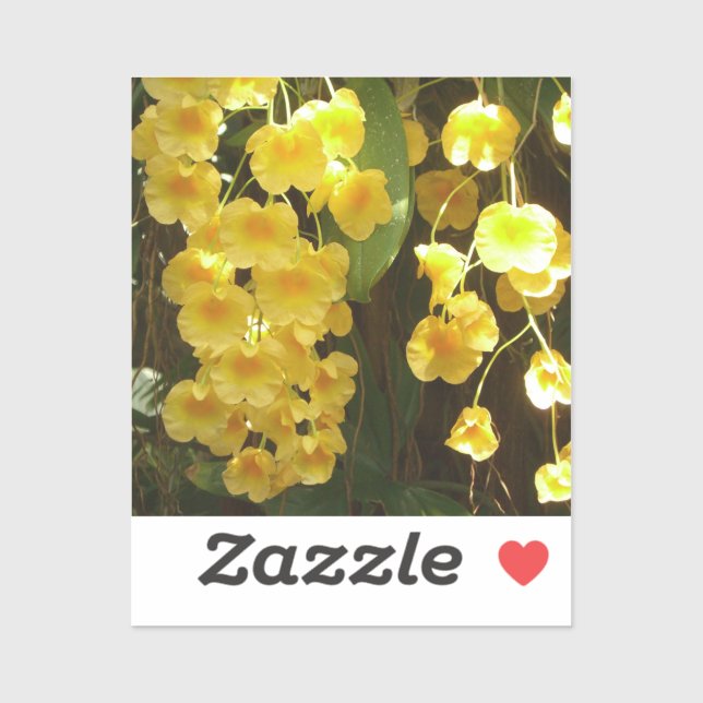 Hanging Yellow Orchids Tropical Flowers (Sheet)