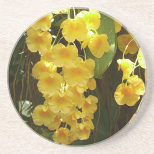 Hanging Yellow Orchids Tropical Flowers Coaster