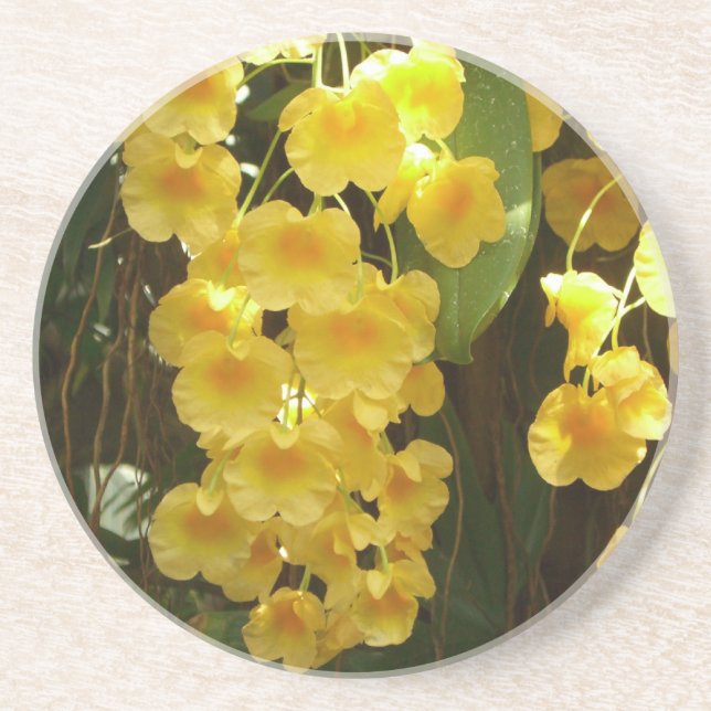 Hanging Yellow Orchids Tropical Flowers Coaster (Front)