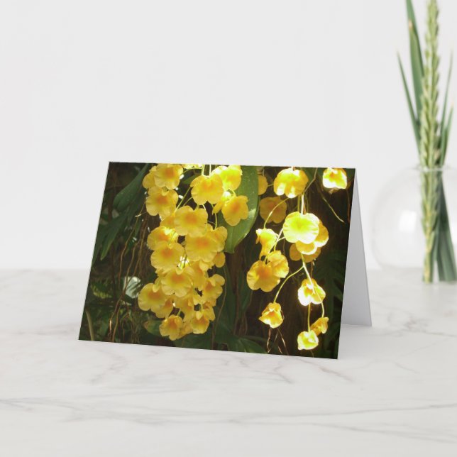 Hanging Yellow Orchids Tropical Flowers Note Card (Front)