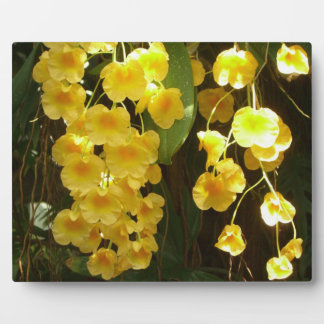 Hanging Yellow Orchids Tropical Flowers Plaque