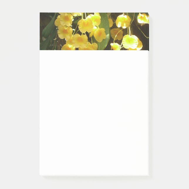 Hanging Yellow Orchids Tropical Flowers Post-it Notes (Front)