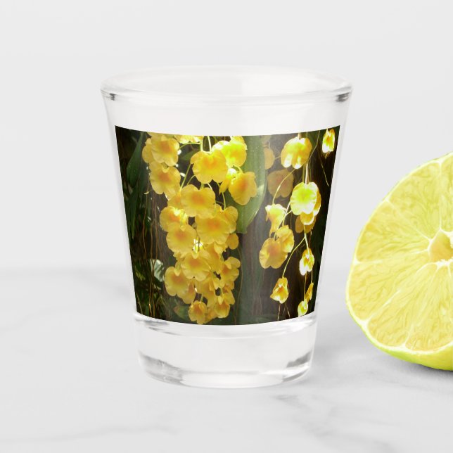 Hanging Yellow Orchids Tropical Flowers Shot Glass (Front)