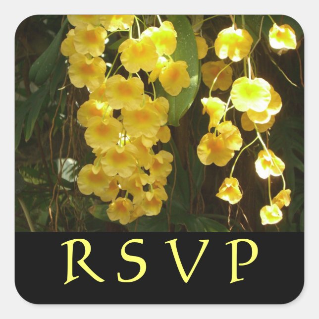 Hanging Yellow Orchids Tropical Flowers Square Sticker (Front)