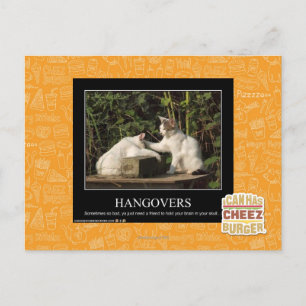Hangovers Postcard