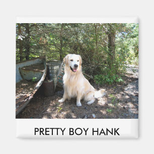 Hank 8 10 2008 014.1, PRETTY BOY HANK Magnet