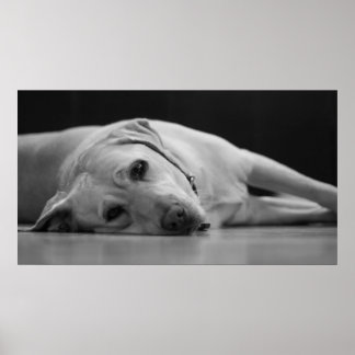 Hank 'ONE' Canvas Poster