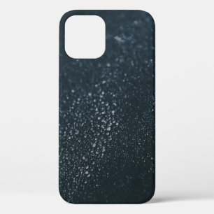 Hanoi iPhone 12 Case