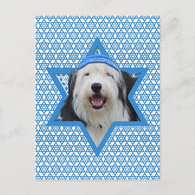 Hanukkah Star of David - Old English Sheepdog Holiday Postcard (Front)