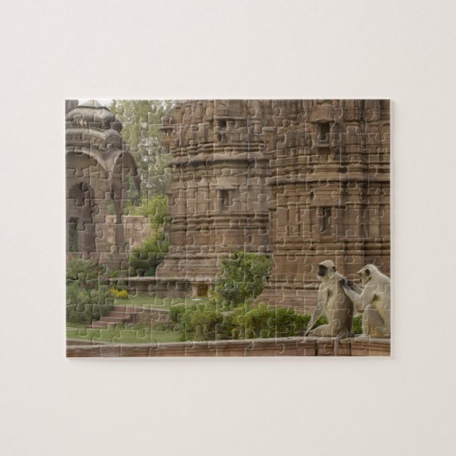 Hanuman Langurs or Black-faced, Common or Grey Jigsaw Puzzle (Horizontal)