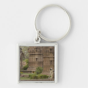 Hanuman Langurs or Black-faced, Common or Grey Key Ring