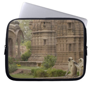 Hanuman Langurs or Black-faced, Common or Grey Laptop Sleeve