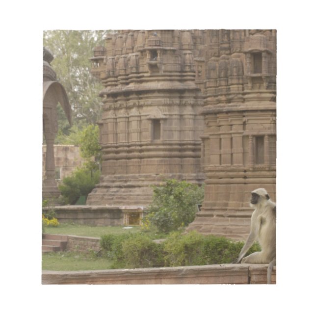 Hanuman Langurs or Black-faced, Common or Grey Notepad (Front)