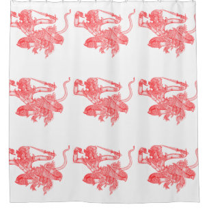 Hanuman Vintage Book Illustration Shower Curtain