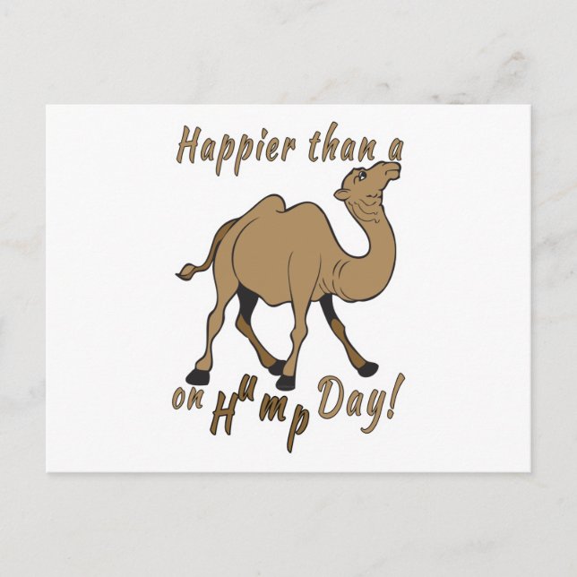 Happier than a Camel on Hump Day Postcard (Front)