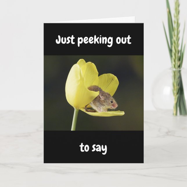 HAPPIEST OF "ALL" BIRTHDAYS WISHED TO "YOU" CARD (Front)