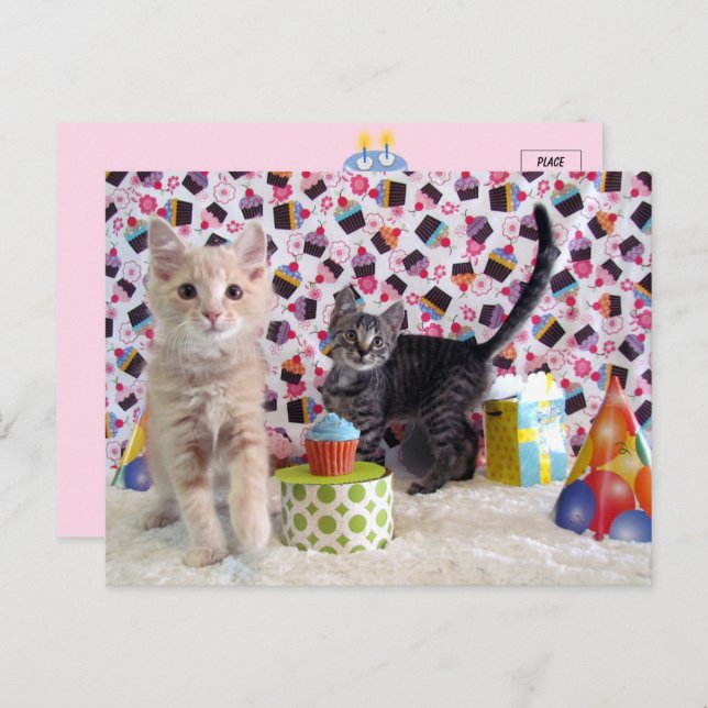 Happiest of Birthdays - Cat Postcard (Front/Back)