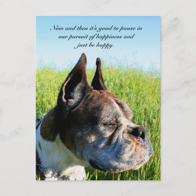 Happiness boxer postcard (Front)