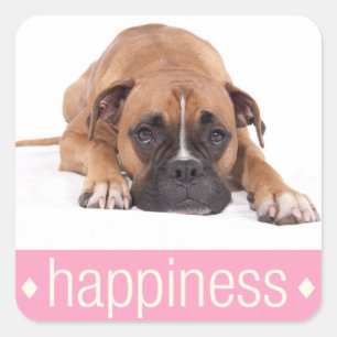 Happiness Boxer Puppy Dog Greeting Sticker