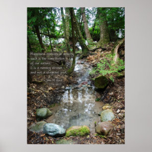 Happiness consists in activity poster