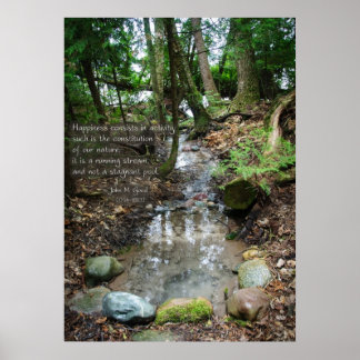 Happiness consists in activity poster