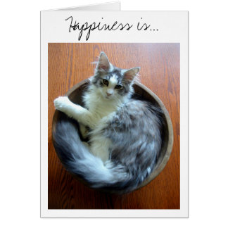 Happiness is a bowl full of kitten card
