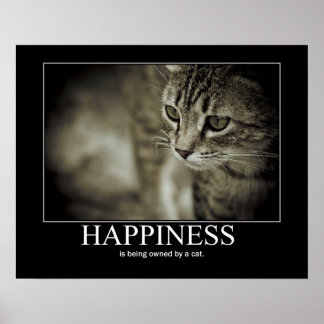 Happiness is Being Owned by a Cat Poster