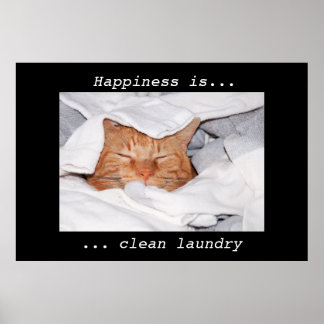 Happiness is clean laundry poster