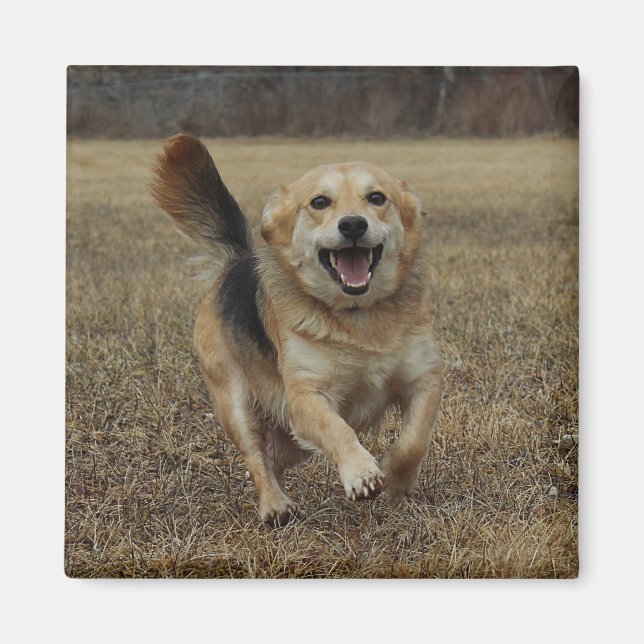 Happiness Magnet (Front)