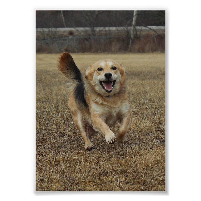 Happiness Photo Print (Front)