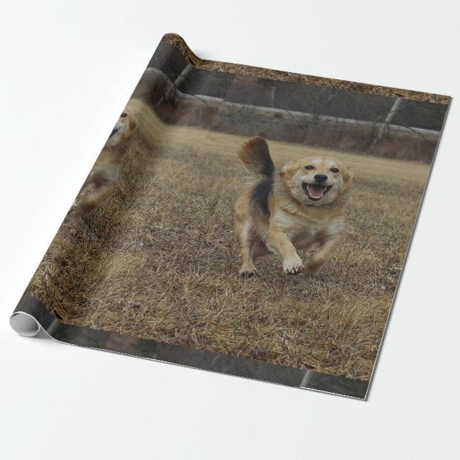 Happiness Wrapping Paper (Unrolled)