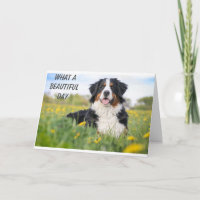 HAPPY **16th** BIRTHDAY SAY HAPPY DOG! Card