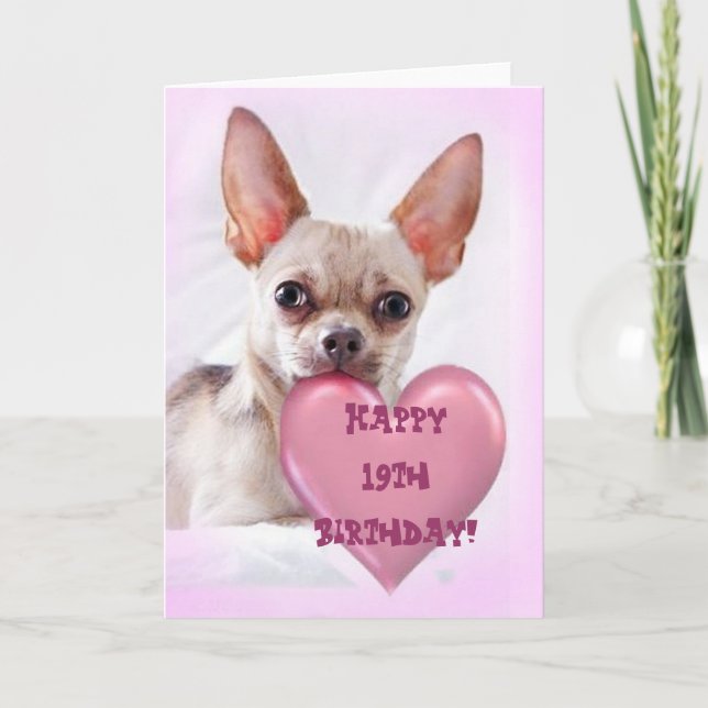 Happy 19th Birthday Chihuahua greeting card (Front)