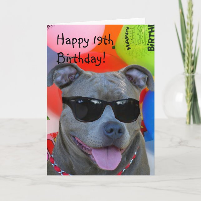 Happy 19th Birthday Pitbull greeting card (Front)